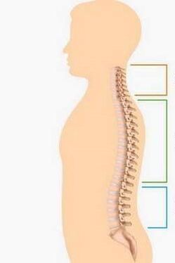 Dažādu mugurkaula osteohondrozes bojājums